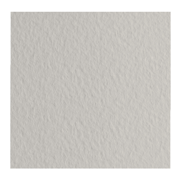 Бумага для пастели Fabriano "Tiziano" 160г/м2 (40%хлопок) 50*65см серый светлый 1лист