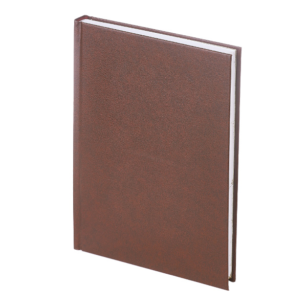 Ежедневник А5+ 2026 Bruno Visconti "Ideal new" тв. обл., перепл. мат., коричневый 3-344/02