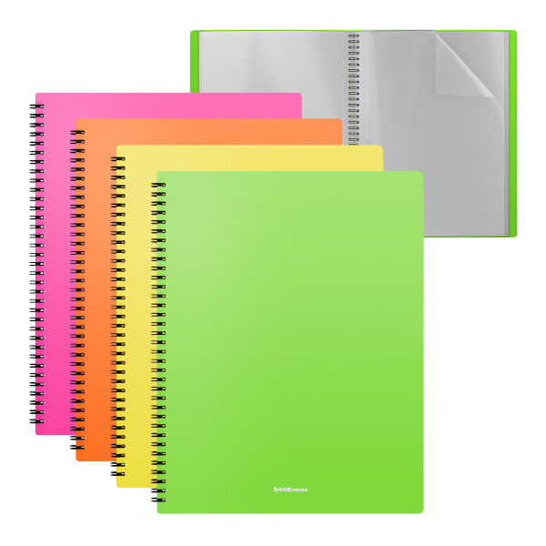 Папка 40 файлов А4, спираль, 10мм, 600мкм, ассорти "Matt Neon" EK44700/49954 Erich Krause