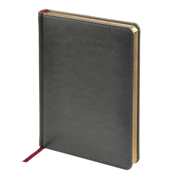 Ежедневник А5+ не дат Альт "Sidney Nebraska" тв.обл., серый 3-128/09