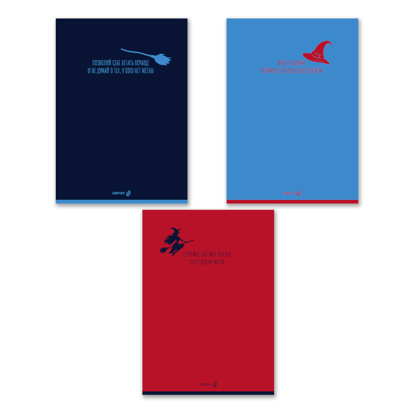 Тетрадь 48л А4 клетка "Заметки с метлой 01339" картон, ассорти Т152 SVETOCH