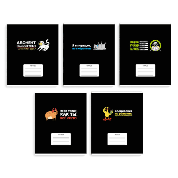 Тетрадь 24л А5+ клетка "Герои с характером" картон, ассорти 70913 Феникс+