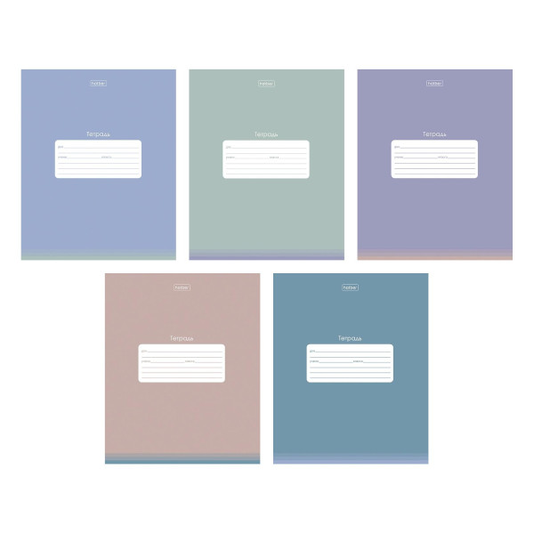 Тетрадь 24л А5 клетка "PROстиль" пластик, ассорти 24Т5В1пл Hatber