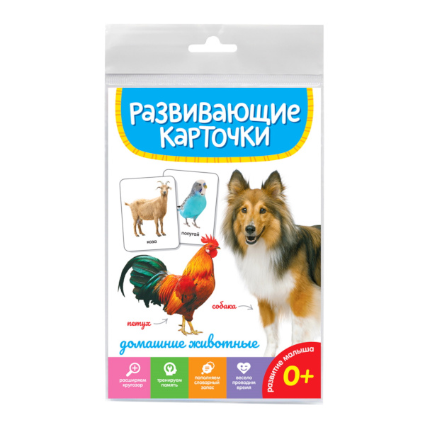 Обучающие карточки "ДОМАШНИЕ ЖИВОТНЫЕ" 20 карт. 12*18мм ИН-5284 ИД Проф Пресс.