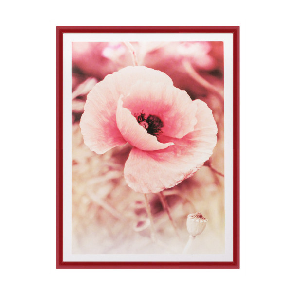 Фоторамка 30*40 пластик, багет 10мм, красный, вставка пластик 7919 Pioneer