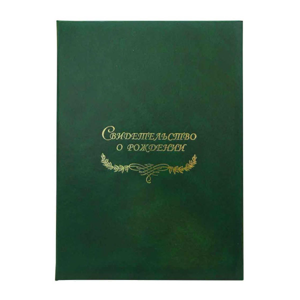 Папка с файлом для свид.о рождении, бумвинил А4 (пухлая), зеленая с разводами СРБ4-207н Imige