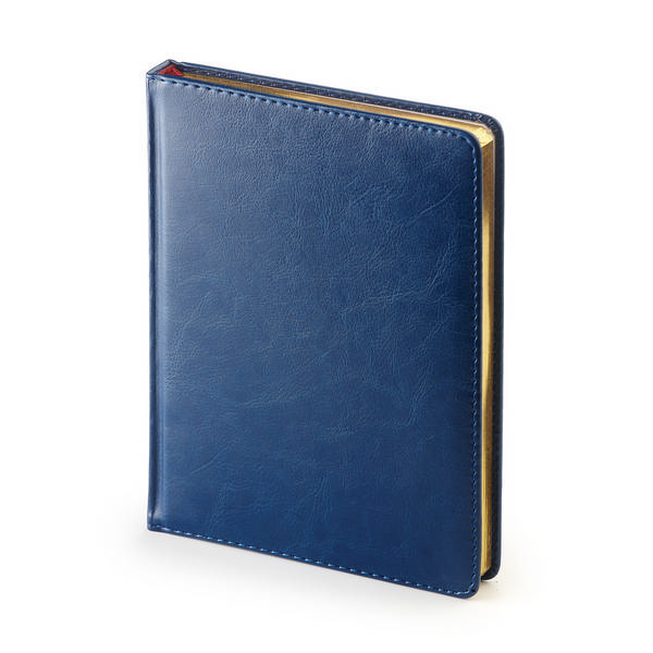 Ежедневник А6 не дат Альт "Sidney Nebraska" тв.обл., синий, линейка, иск. кожа 3-496/04