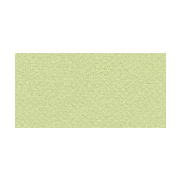 Бумага для пастели Fabriano "Tiziano" 160г/м2 (40%хлопок) 50*65см салатовый теплый 1лист
