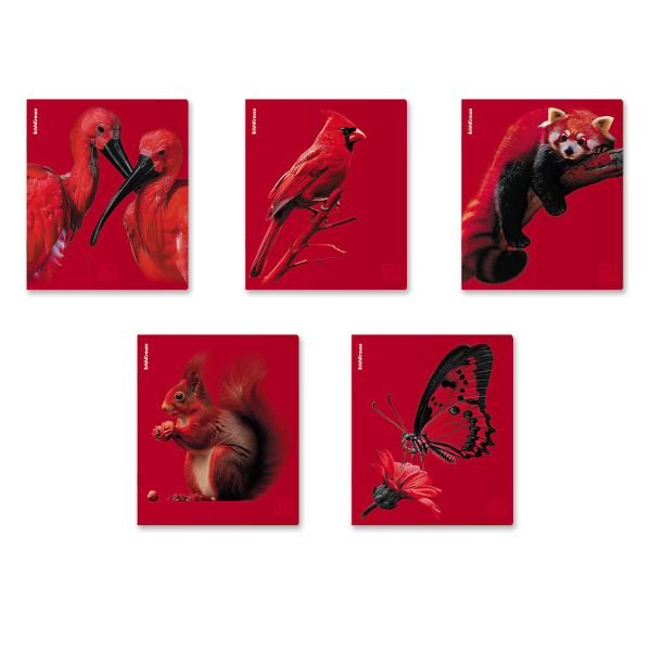 Тетрадь 48л А5+ клетка "Scarlet" картон, ассорти 64868 Erich Krause