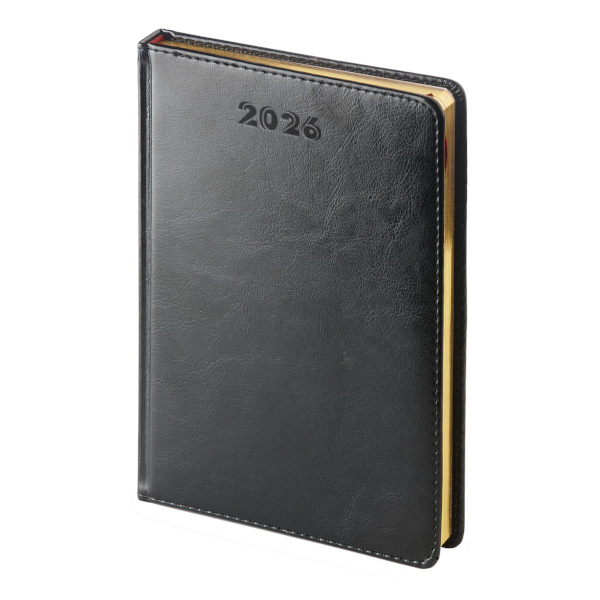 Ежедневник А5+ 2026 Bruno Visconti "Sidney Nebraska" тв.обл., иск.кожа, черный, золот.об 3-125/02-26