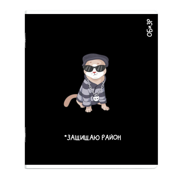 Тетрадь предметная 48л А5+ ОБиЗР "Коты мемы" клетка, картон 69834 Феникс+