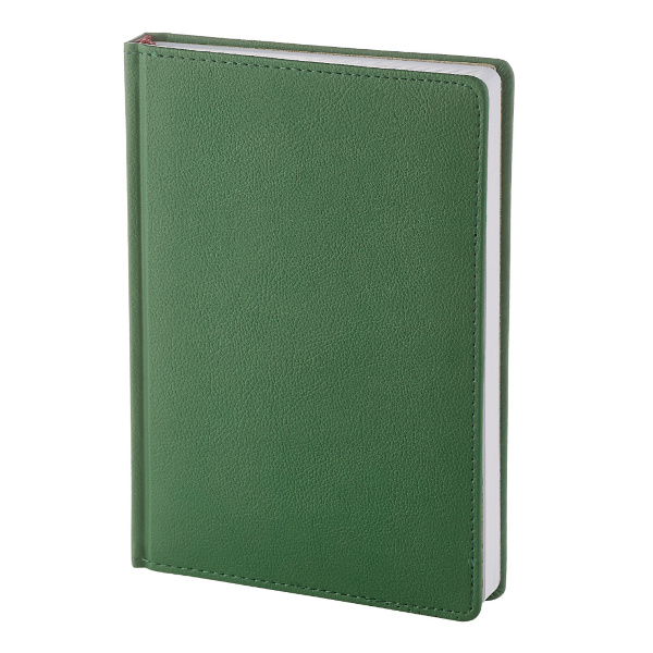 Ежедневник А5+ 2026 Bruno Visconti "Leader" тв. обл., иск.кожа, зеленый 3-126/02