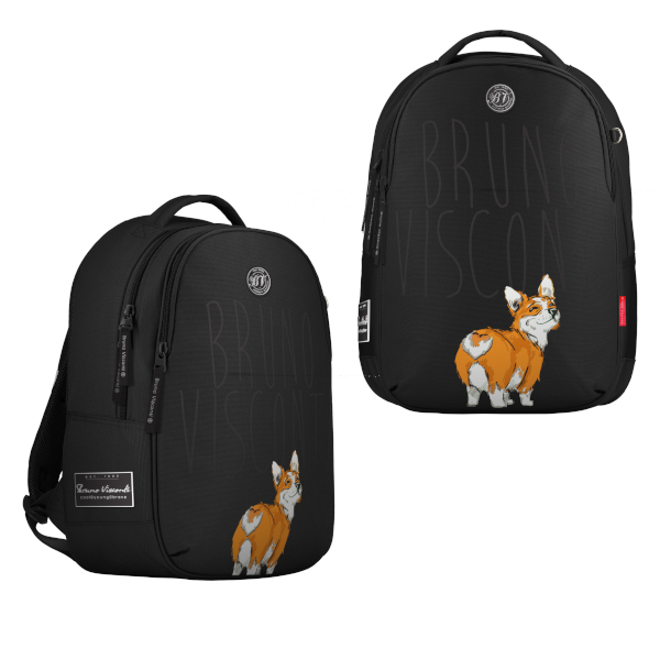 Рюкзак Bruno Visconti "Корги 18L" 1отд., 1карм., 42*31*14см 12-008-074/01