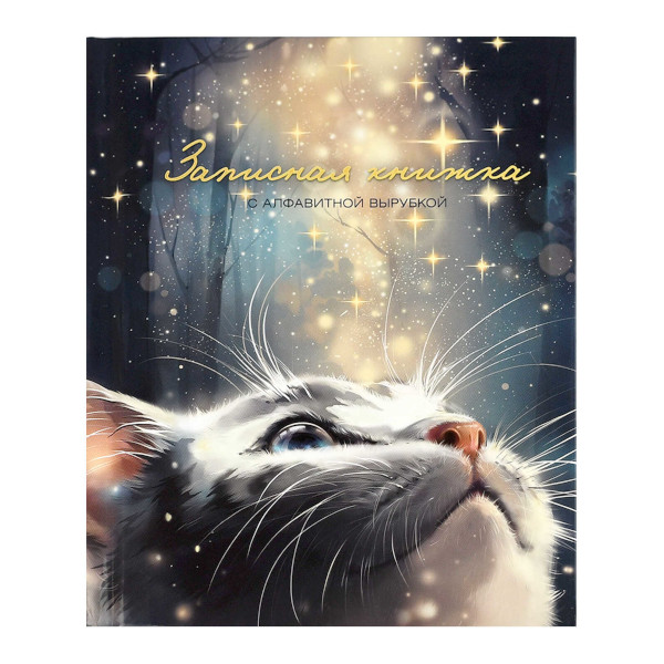 Записная книга А6 80л "Кот со звездами" клетка, сшивка, тв.обл., 7БЦ, алфавит. 68296/Р Феникс+