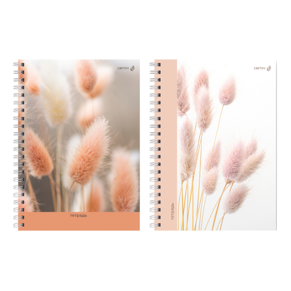 Тетрадь 80л А4 клетка/гребень "Душистый колосок 01228" картон, ассорти Т125 Светоч