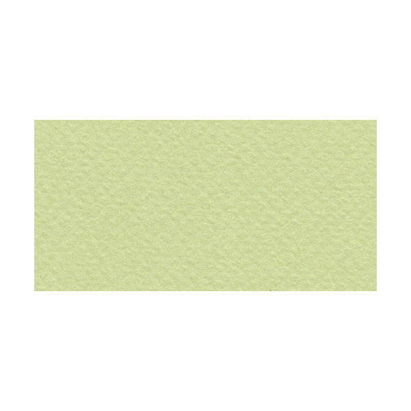 Бумага для пастели Fabriano "Tiziano" 160г/м2 (40%хлопок) 50*65см салатовый теплый 1лист