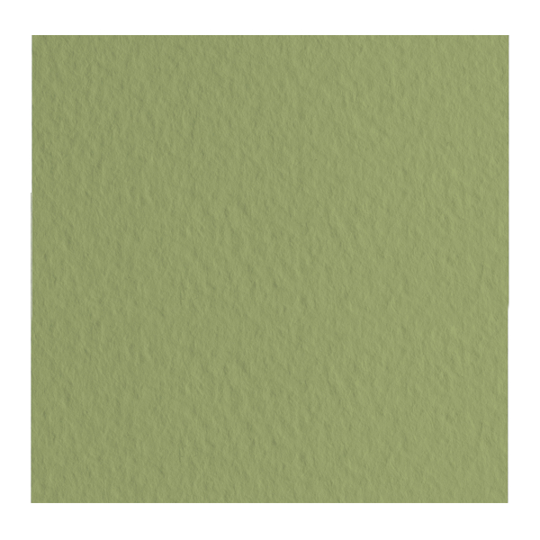 Бумага для пастели Fabriano "Tiziano" 160г/м2 (40%хлопок) 50*65см оливковый 1лист