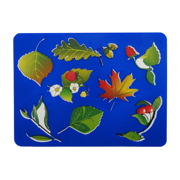 Трафарет-раскраска "Виды транспорта" 18*20,6см, ЛУЧ 10С 528-08