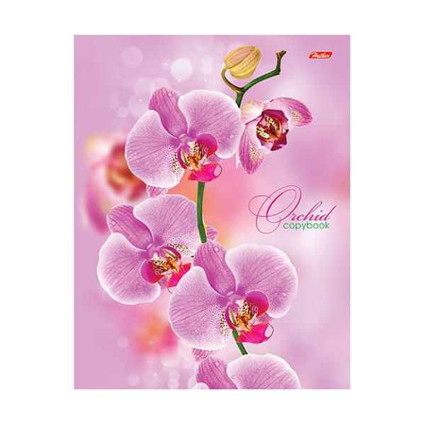 Тетрадь 120л А5 клетка на кольцах "Розовая орхидея" тв.обл., рисунок 120ТК5B1_04374 Hatber
