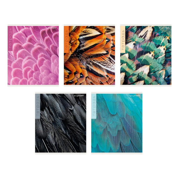 Тетрадь 96л А5 клетка "Перья" картон, ассорти ТК968713 Listoff