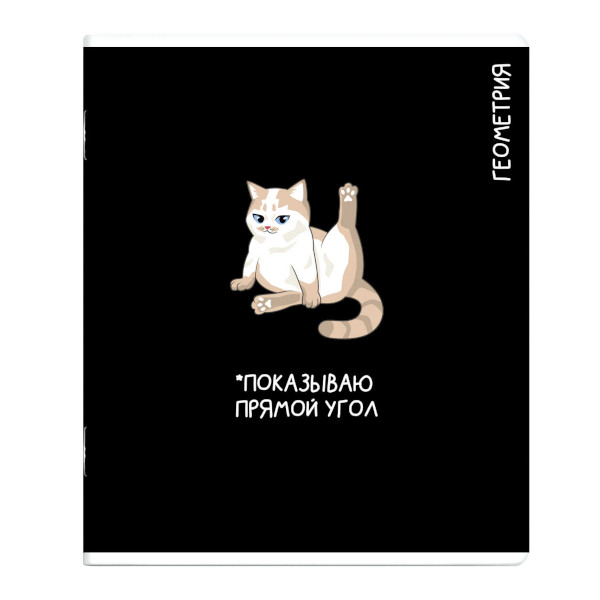 Тетрадь предметная 48л А5+ Геометрия "Коты мемы" клетка, картон 69821 Феникс+