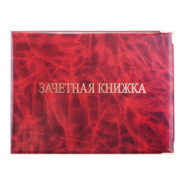 Обложка для зачётной книжки, прозрачная 118*315мм ДПС 3251