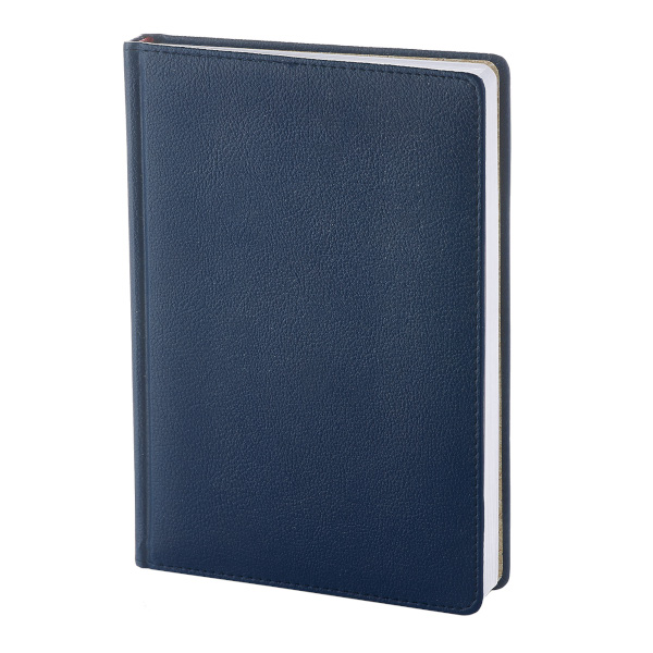 Ежедневник А5+ 2026 Bruno Visconti "Leader" тв. обл., иск.кожа, синий 3-126/01