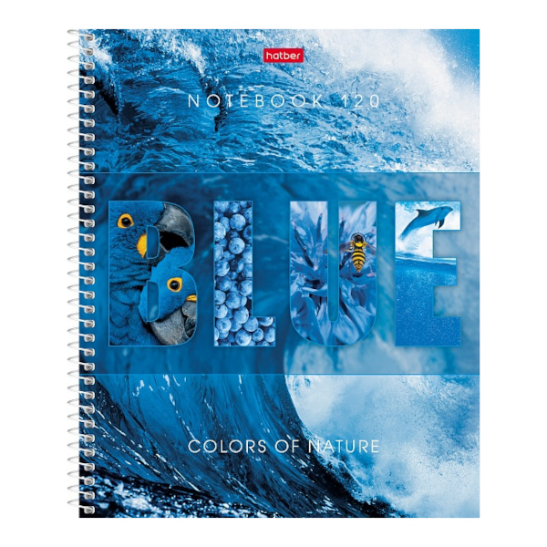 Тетрадь 120л А5 клетка/спираль "Гармония цвета" тв. обл., рисунок, перф. 120Тт5В1сп_29023 Hatber
