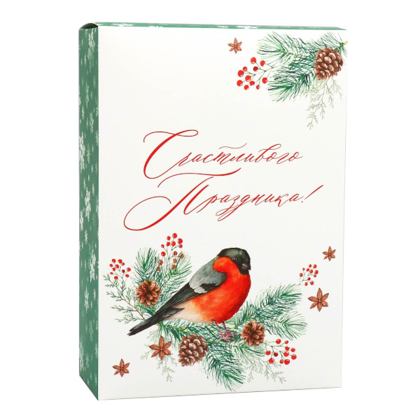 Коробка складная 23*16*7,5см "Счастливого праздника. Снегирь" 9631223 Дарите Счастье