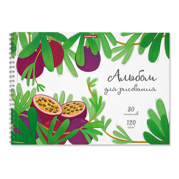 Альбом для рис 30л А4 "Juicy Fruits" 120г/м2, картон. обл., гребень, подлож., перф. 58581 Erich Krause