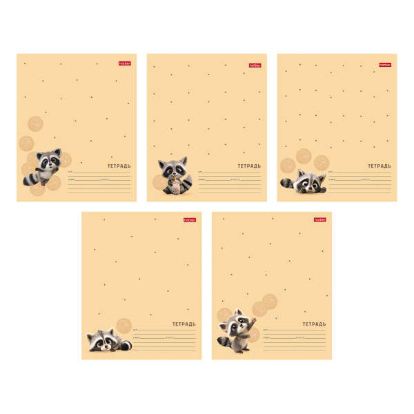 Тетрадь 12л А5 клетка "Вот енот" картон, ассорти 12Т5В1 Hatber