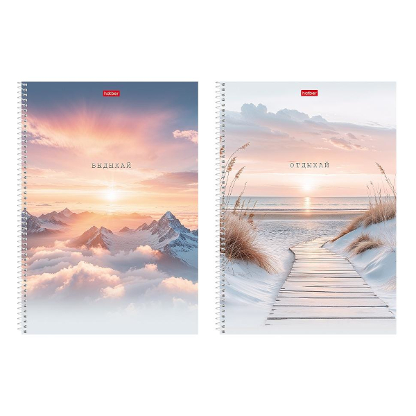 Тетрадь 96л А4 клетка/спираль "В моменте" картон, ассорти, перф. 96Т4лВ1сп Hatber