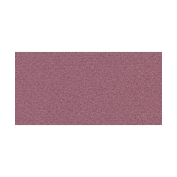 Бумага для пастели Fabriano "Tiziano" 160г/м2 (40%хлопок) 21*29,7см серо-фиолетовый 1лист