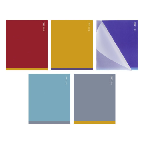 Тетрадь 48л А5 клетка "PROстиль" пластик, ассорти 48Т5В1пл Hatber