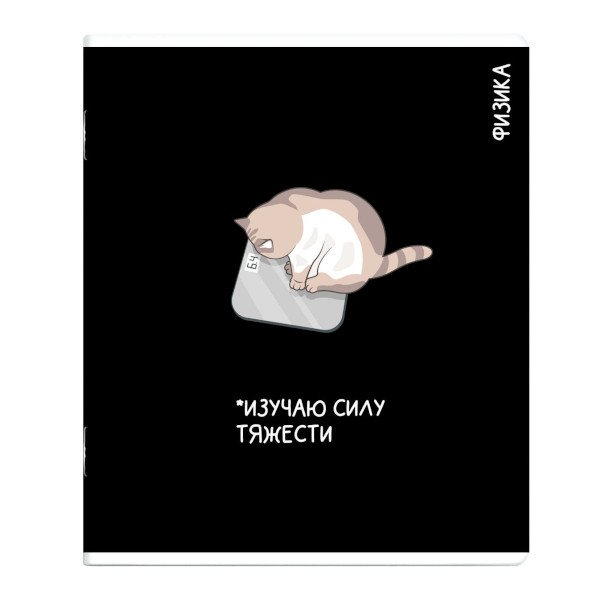 Тетрадь предметная 48л А5+ Физика "Коты мемы" клетка, картон 69822 Феникс+