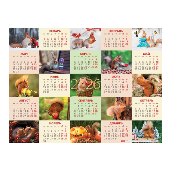 Календарь настен. лист А2 2026г "Пушистые белочки" Кл2_33726 Hatber