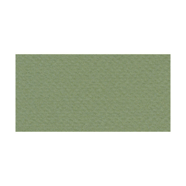 Бумага для пастели Fabriano "Tiziano" 160г/м2 (40%хлопок) 50*65см оливковый 1лист