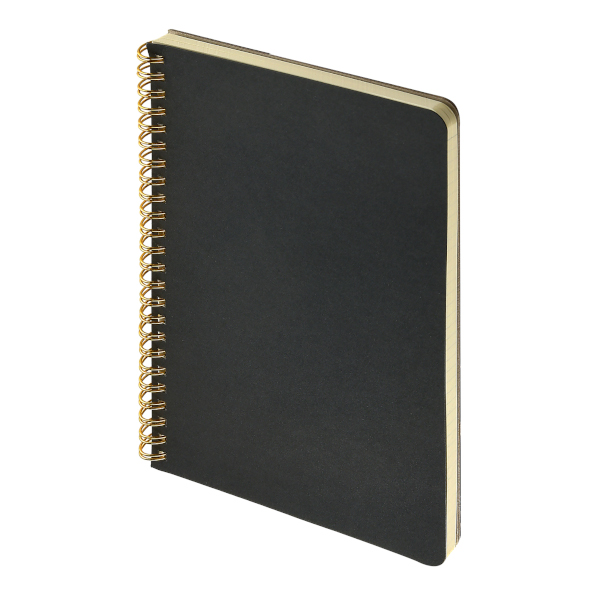 Тетрадь 100л А4 клетка/гребень "Pragmatic" картон, черный 7-100-1374/04 Bruno Visconti