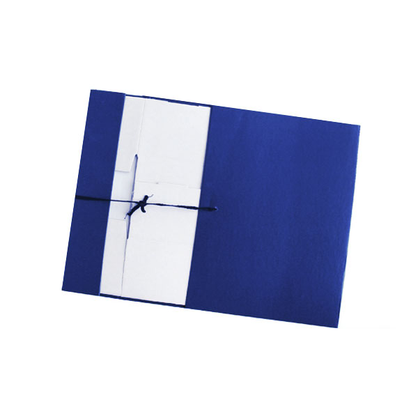Папка архивная сборная А4, 7см, бумвинил, завязки, синий КСБ4070-203 Imige