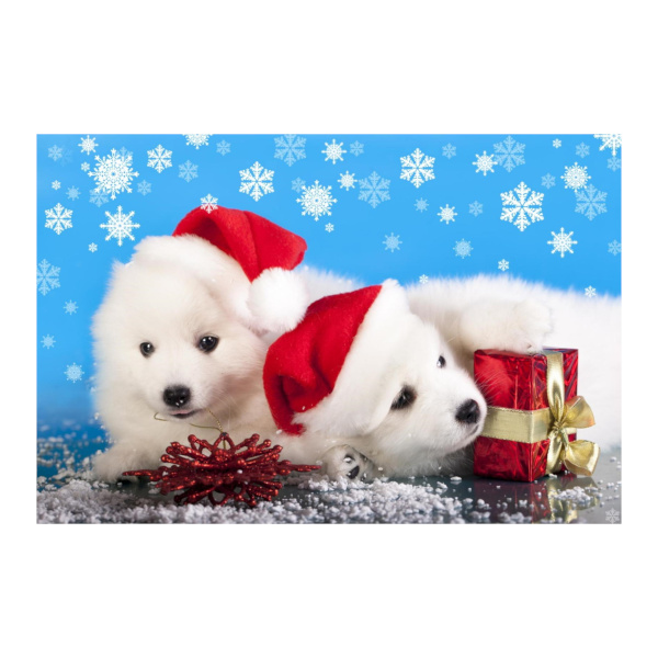Картина по номерам Рыжий кот 40*50см "Белые щенки с подарком" Х-5970