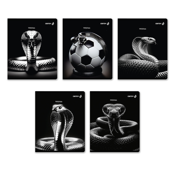 Тетрадь 48л А5 клетка "Мудрость и знания 01486" картон, ассорти Т88 Светоч