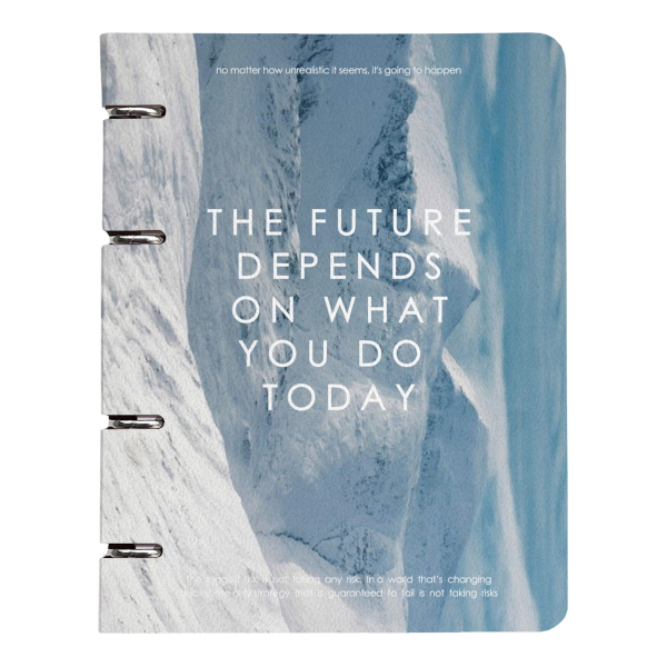 Тетрадь 120л А5+ клетка на кольцах "Freedom. Снег" картон, рисунок N5439 Be Smart