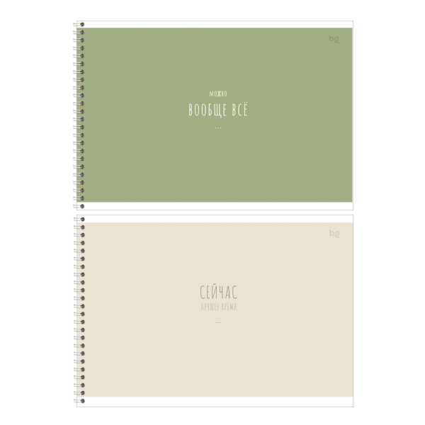 Альбом для рис 40л А4 "Basic" 120г/м2, гребень, мел.картон, ассорти АР4гр40 06803 BG