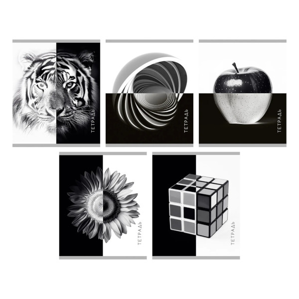 Тетрадь 96л А5 клетка "Черно-белое" картон, ассорти Т2Л969147 Listoff