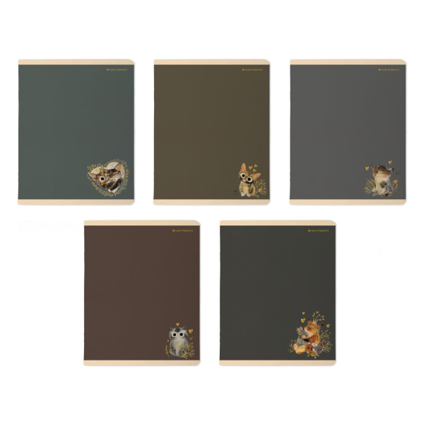 Тетрадь 48л А5+ клетка "Love me. Morandi" картон, ассорти 7-48-1368 Bruno Visconti