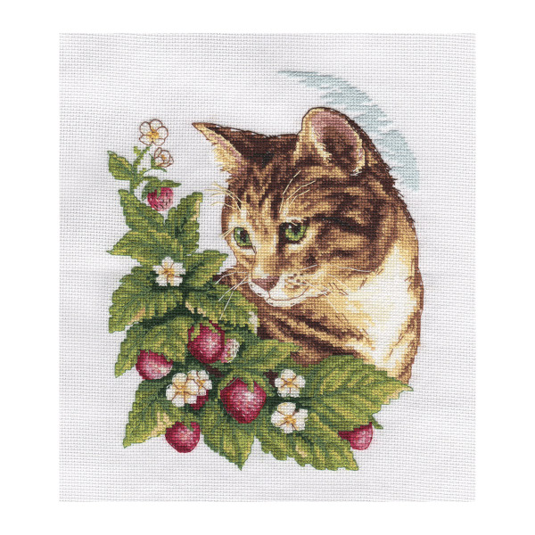 Набор для вышивания Klart "Кошка в клубнике" 20*24см 8-174