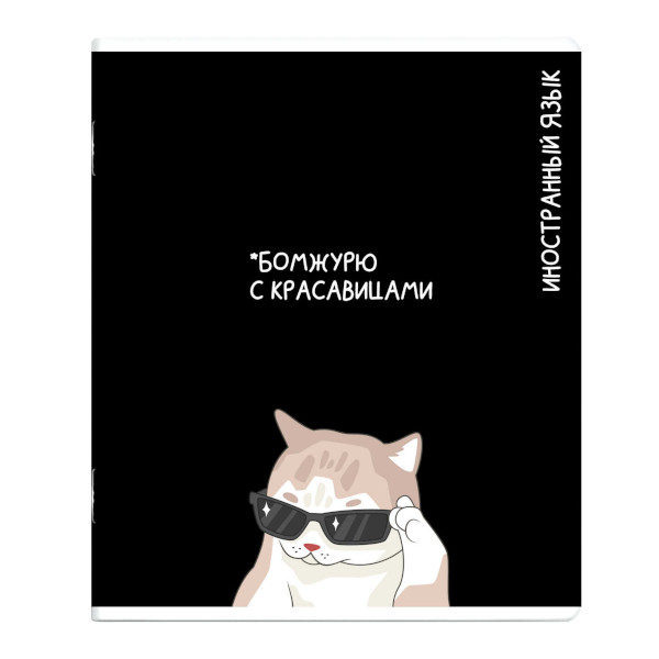 Тетрадь предметная 48л А5+ Иностранный язык "Коты мемы" клетка, картон 69829 Феникс+