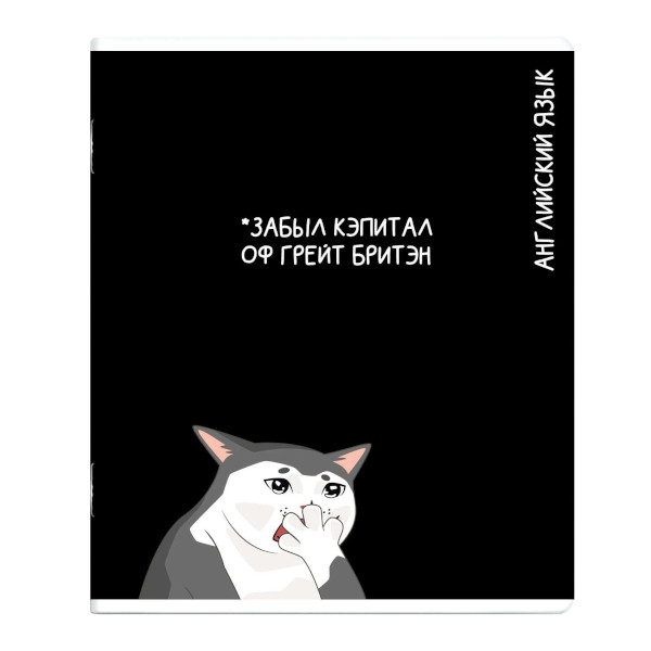 Тетрадь предметная 48л А5+ Английский язык "Коты мемы" клетка, картон 69828 Феникс+