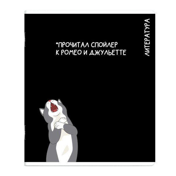 Тетрадь предметная 48л А5+ Литература "Коты мемы" линейка, картон 69832 Феникс+