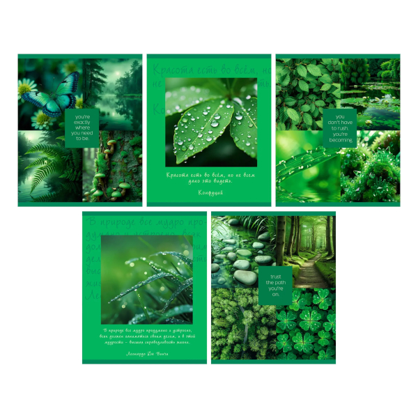 Тетрадь 48л А5 клетка "Природная красота" картон, ассорти ТК2Л489667 Listoff